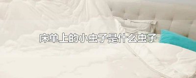 ​床单上有什么虫子 床单上有很多小虫子