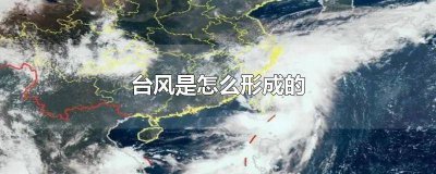 ​台风是怎么形成的 百度网盘 台风是怎么形成的 秒懂百科