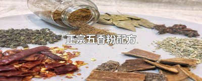 ​五香粉的配比方法 五香粉的配方