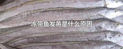 ​冷冻带鱼泛黄 速冻带鱼有的发黄是坏了吗?