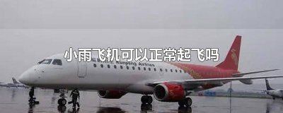 ​小雨的情况下飞机可以飞吗 小雨飞机可以飞行吗