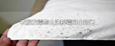 ​衣服发霉怎么洗掉霉斑小窍门 衣服发霉怎么洗掉霉斑小窍门图片