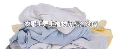 ​怎样去除衣服上的树浆 衣服沾到树浆怎么洗