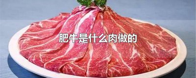 ​肥牛的肥肉是哪里来的 肥牛的肥肉是粉色的