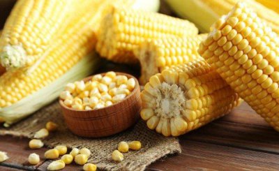 ​玉米原产于哪个国家 玉米什么时候传入中国的