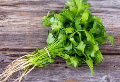 ​吃香菜多好吗[经常吃香菜会怎么样]