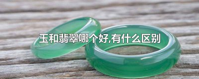 ​翡翠和玉的区别是什么哪个更好 翡翠和玉有什么区别哪个好值钱