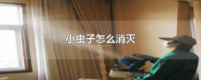 ​地板缝里的小虫子怎么消灭掉 地板缝里的小虫子怎么消灭它