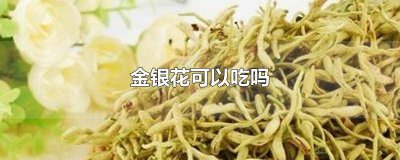​蚕豆病为何不能吃金银花 蚕豆病可以吃金银花么