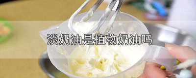 ​植物奶油是不是淡奶油 植物奶油跟淡奶油