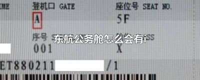 ​东航公务舱就是头等舱吗 东航的公务舱有休息室吗