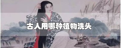 ​古人一般用哪种植物洗头发 古人一般用什么植物洗头发