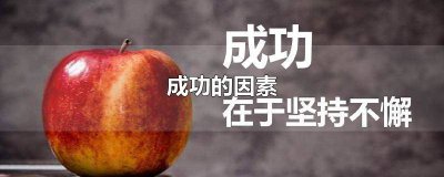 ​成功的因素有哪些 成功的因素作文英语