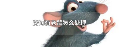 ​房间里出现老鼠怎么办 房间里有老鼠怎么解决