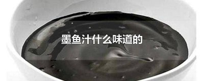 ​墨鱼汁什么口感好 墨鱼汁什么口感最好