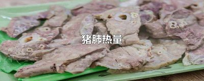 ​猪肺热量多少 100克猪肺的热量