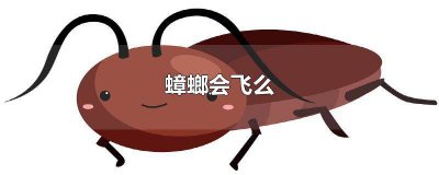 ​蟑螂到底会飞吗 蟑螂一定会飞吗