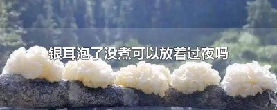 ​泡好的银耳可以过夜再煮吗 银耳泡一夜还能再煮吗