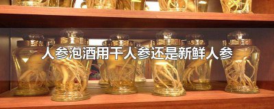 ​泡酒用干人参还是鲜人参好 干人参和鲜人参哪个泡酒好