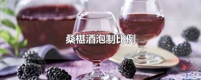​桑葚酒的泡制 桑椹酒泡的方法