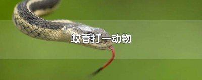 ​蚊子是不是动物类 蚊子是不是动物?