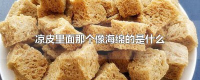 ​和凉皮差不多的叫什么 凉皮是什么样的图片