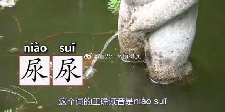 尿尿的正确读音是什么?到底是niào niào还是读niào suī?