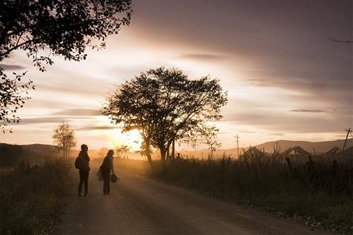 “能在人下为人,不在树下为树”这句话该如何理解?