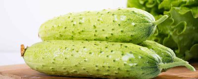 ​黄瓜种植方法和技术视频 黄瓜种植方法和技术要点