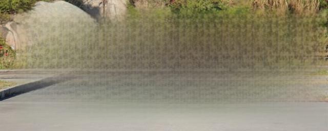 纯电动汽车买哪个好-