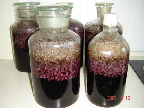 做葡萄酒用鲜酵母行吗