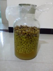 ​为什么酒醅发酵不彻底(为什么发酵酒不超过15°)