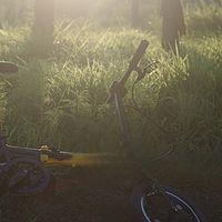 如何选择城市通勤折叠自行车？-