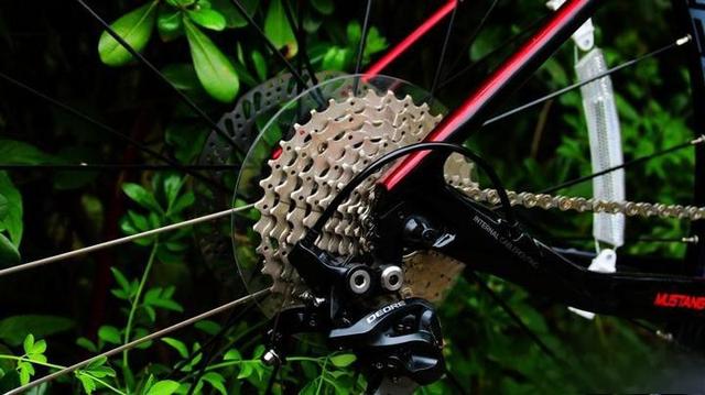 野兽骑行，给你不一样的骑行之旅~-