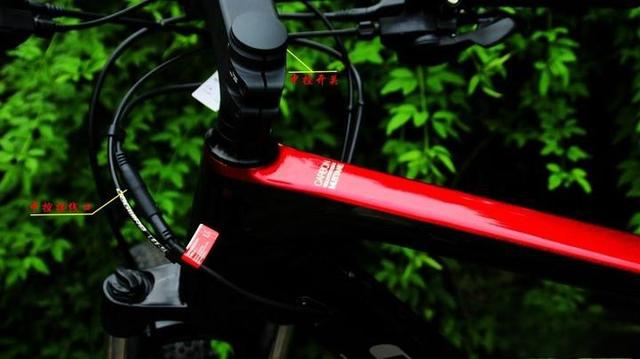 野兽骑行，给你不一样的骑行之旅~-