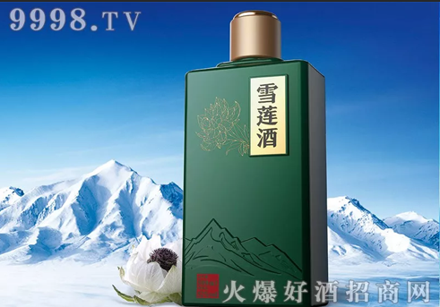 白酒泡雪莲的功效