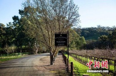 ​attunga红酒名(attunga红酒价格)