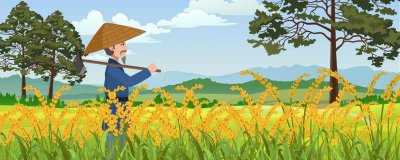 ​小满的来历和风俗