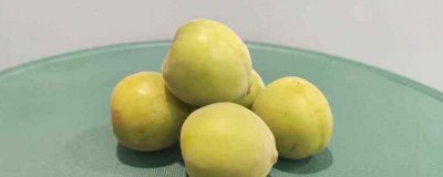 ​青梅的营养价值及营养成分