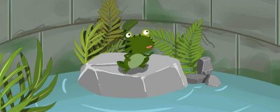 ​青蛙先长前腿还是后腿