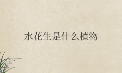 ​水花生是什么植物