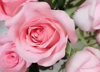 ​没有确定关系送花给她合适吗