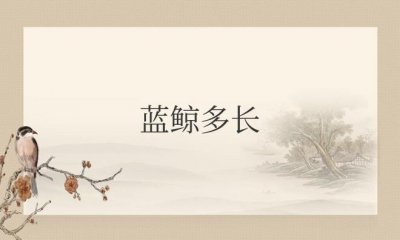 ​蓝鲸多长时间呼吸一次空气换一次气