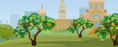 ​柚子表面起霉还能吃吗