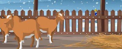 ​羊舌头的功效与价值