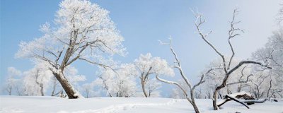 ​冬至是哪一天