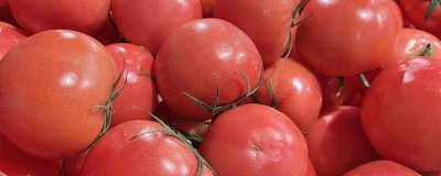 ​番茄汁的营养价值及营养成分