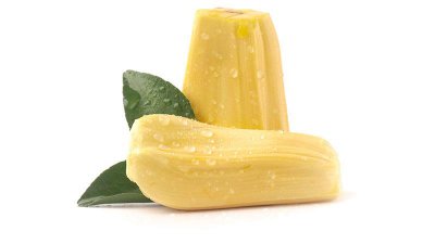 ​菠萝蜜的热量高吗