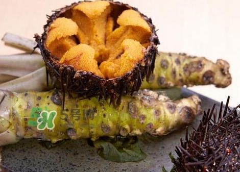 被海胆刺到怎么办？吃海胆对身体有什么好处