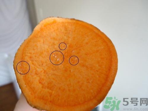 番薯发芽还能吃吗？山芋发芽还能吃吗？